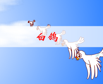 白鸽 截图 1