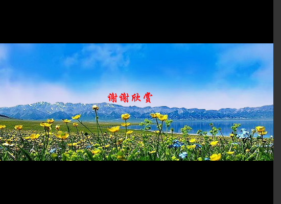 为你等待（siqiuren） 截图 8/8