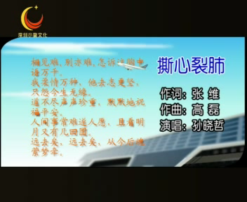 撕心裂肺（孙晓哲） 截图 8/8
