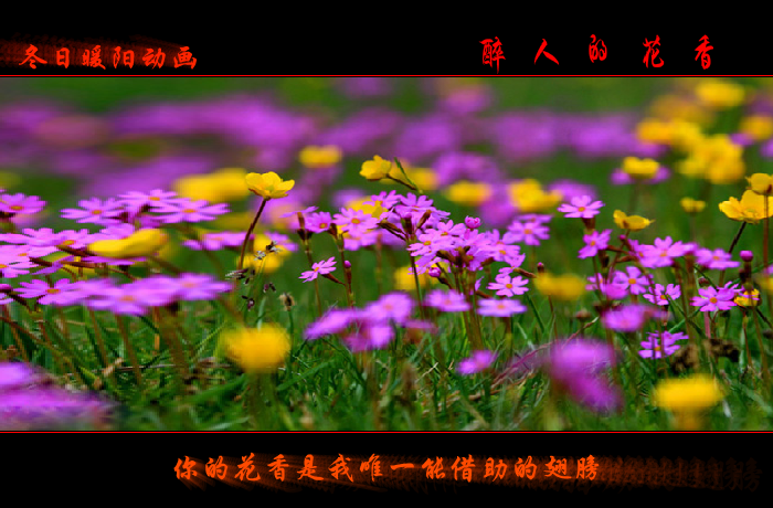 醉人的花香（wxm671022） 截图 2/8