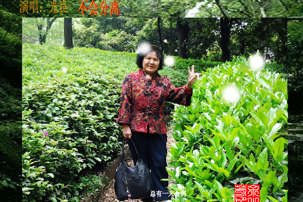 不会分离（sz_yxf） 截图 4/8