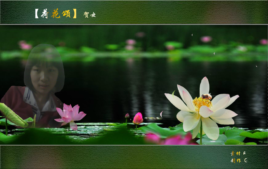 荷花颂（baixue023） 截图 1/4