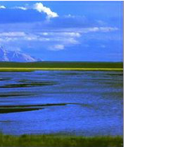 娲楄。姝� 截图 8/8