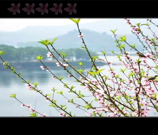 三月桃花雨 截图 1
