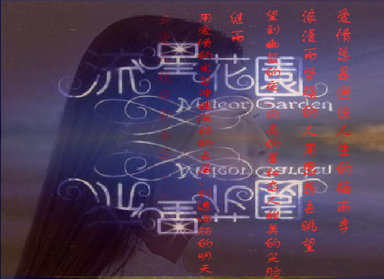 MTV：情非得已（JOYCE《流星花园》MTV特辑） 截图 1/6