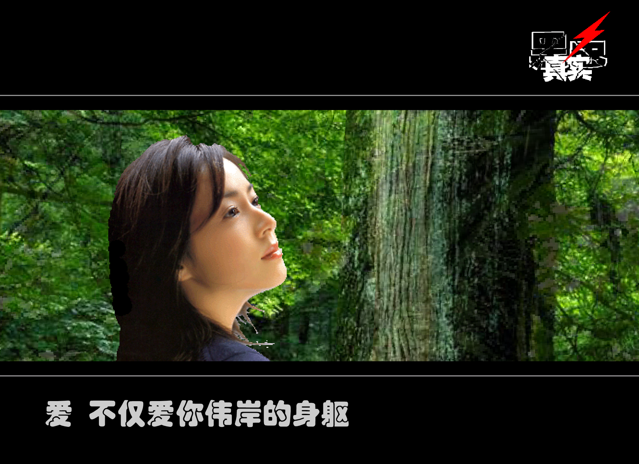 致橡树舒婷（黑色真实） 截图 5/8