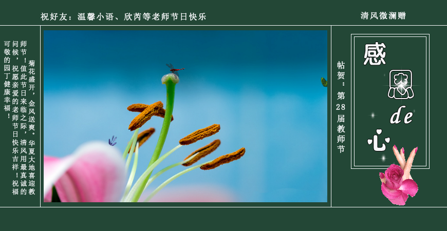 感恩的心（yt005） 截图 1/8