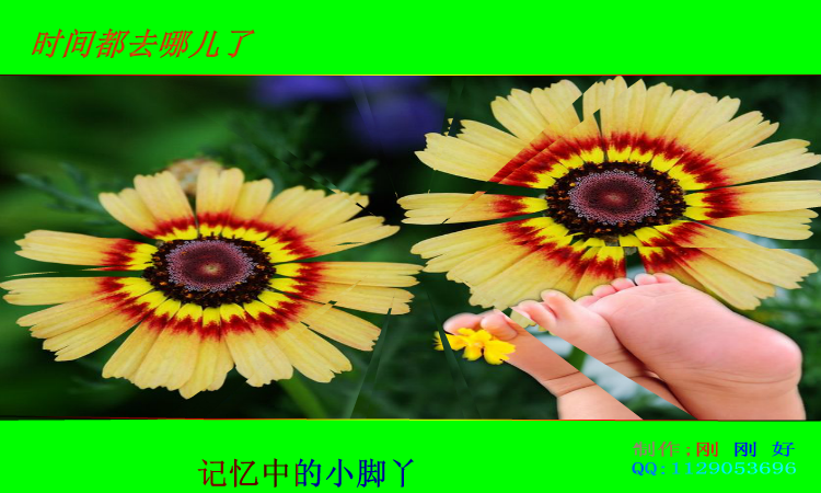 时间都去哪儿了（刚刚好719） 截图 7/8