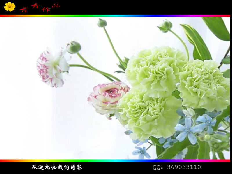 致渐行渐远的青春（恩施青青） 截图 4/8