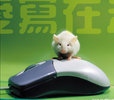不能没有你[那英]（anjt） 截图 7/8