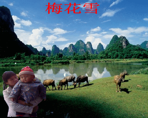 FLASH音画 截图 1