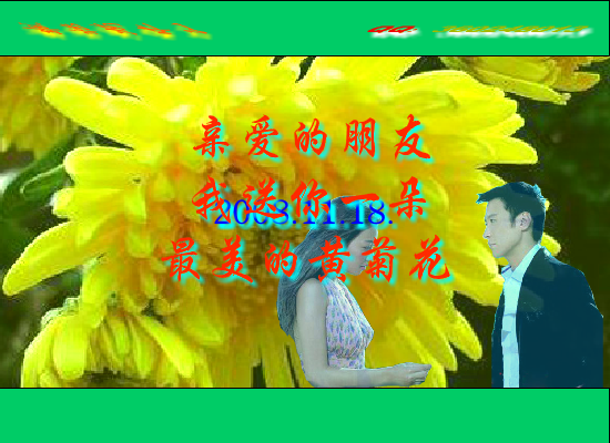 黄菊花开了（Blue） 截图 7/8
