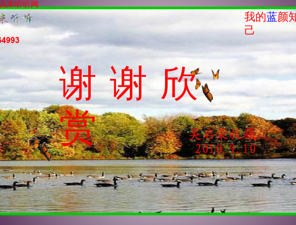 说来听听-蓝颜知己.swf（WQY） 截图 4/8