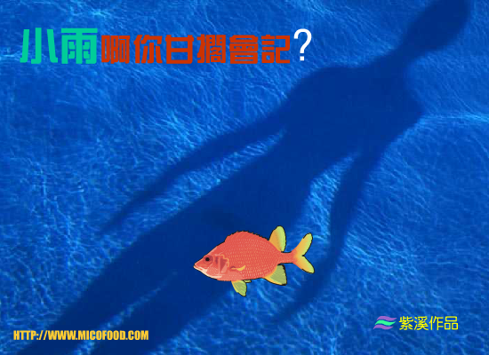 小雨 截图 8/8