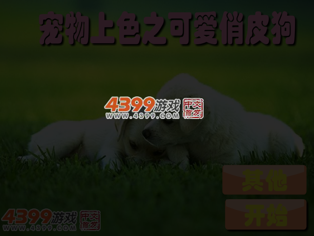 宠物上色之可爱俏皮狗 截图 3/5