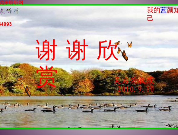 说来听听-蓝颜知己.swf（WQY） 截图 7/8