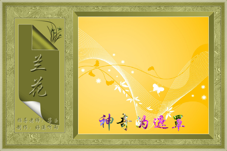 兰花 截图 1