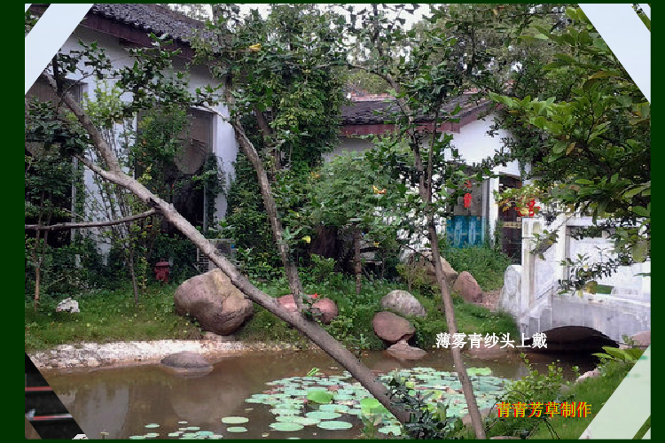 荷花颂（sz_yxf） 截图 8/8