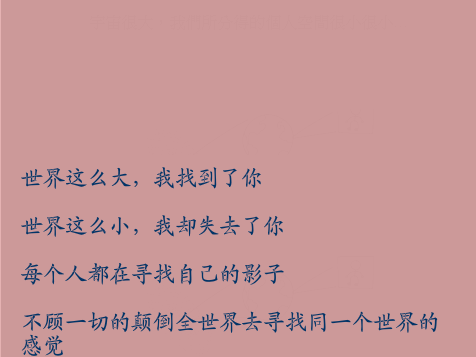 世界这么大 截图 2