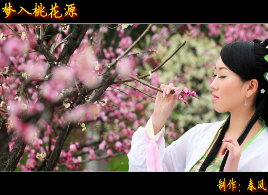 梦入桃花源（指间春色） 截图 6/8