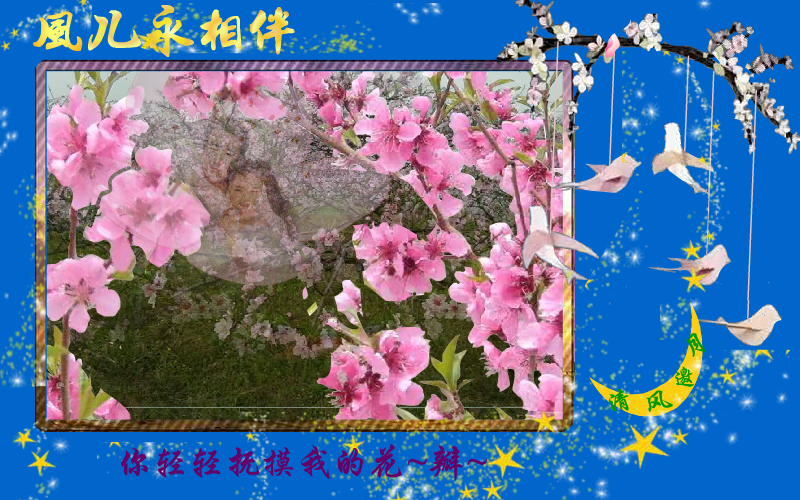 风儿永相伴（清风邀月） 截图 7/8
