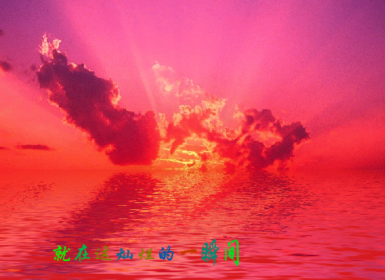 绽放（绿叶） 截图 4/8