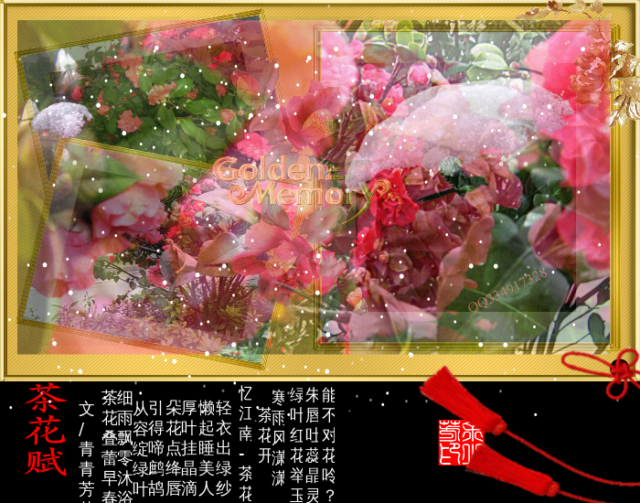 茶花赋（sz_yxf） 截图 6/8