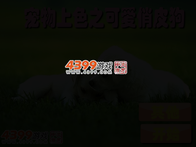 宠物上色之可爱俏皮狗 截图 2/5