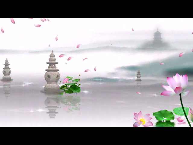 荷花1（钟华锦绣） 截图 6/8