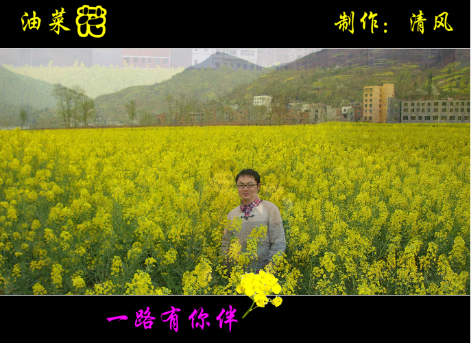 油菜花（清风） 截图 4/8