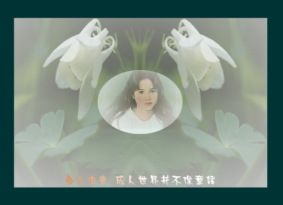 羽毛 截图 2