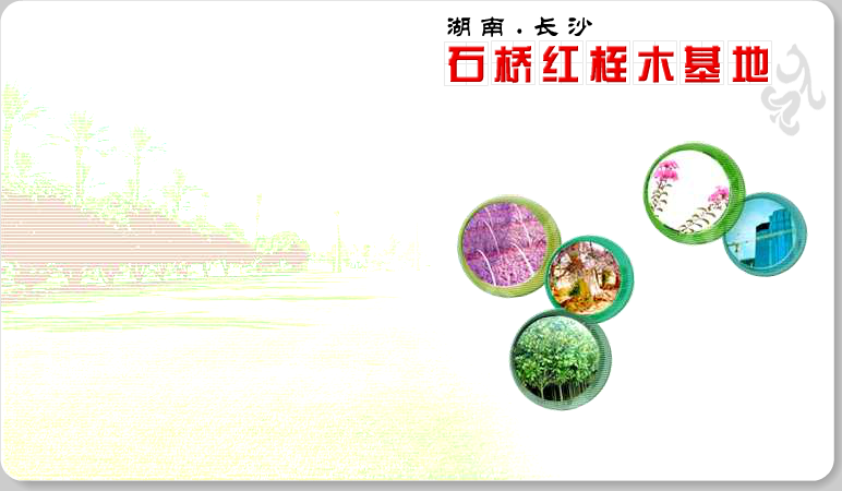 网站片头（快乐小珂） 截图 2/8