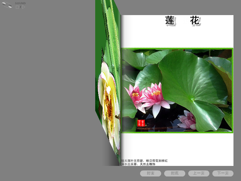 莲花相册（sz_yxf） 截图 2/5