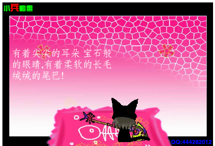 爱猫的人（justformoney） 截图 4/8