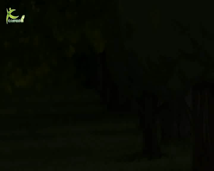 无家可归（高远） 截图 6/8