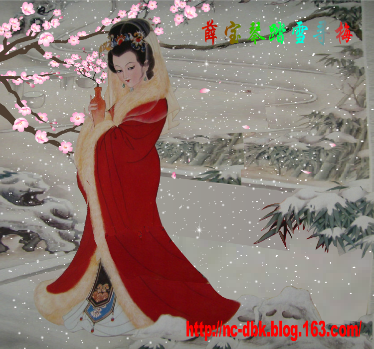 踏雪寻梅（麻宝苍） 截图 7/8